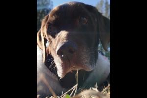 Miniatura publicación